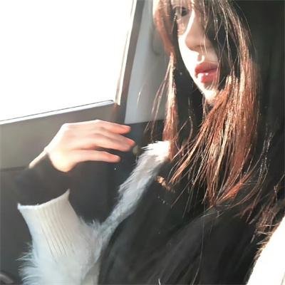 为什么猫都叫不来