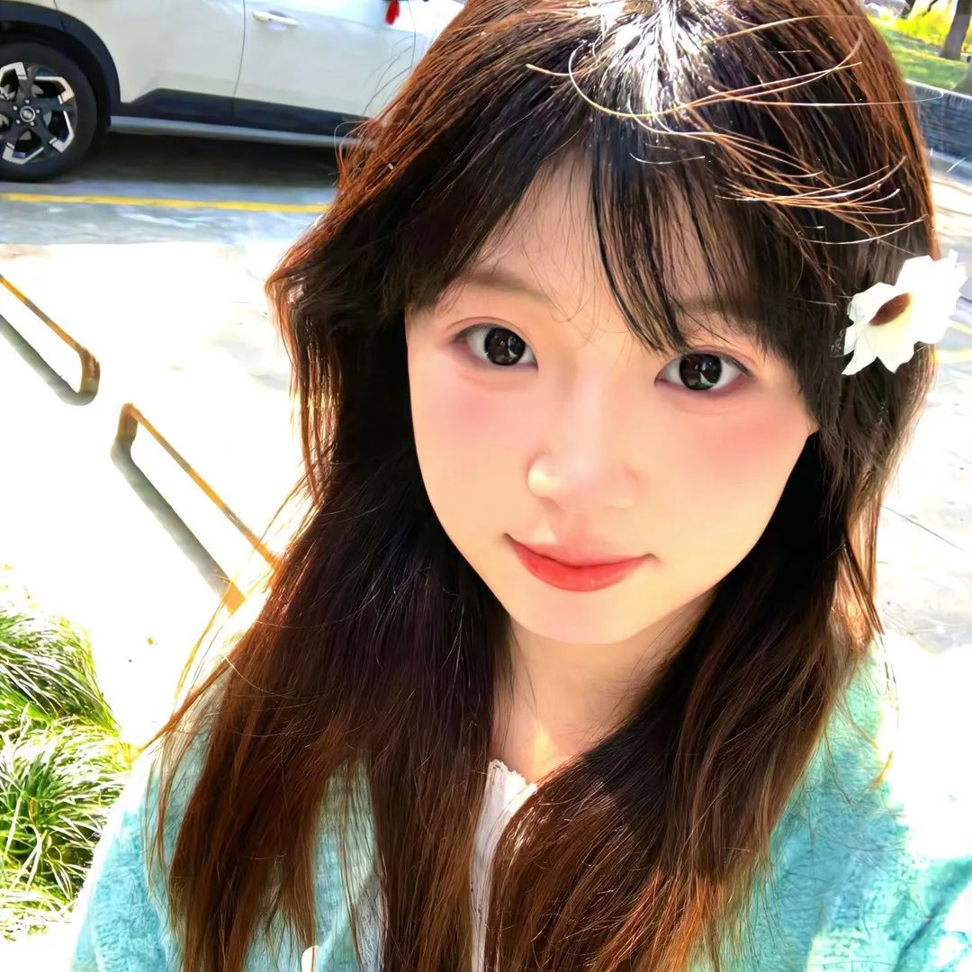 小太阳达芬妮